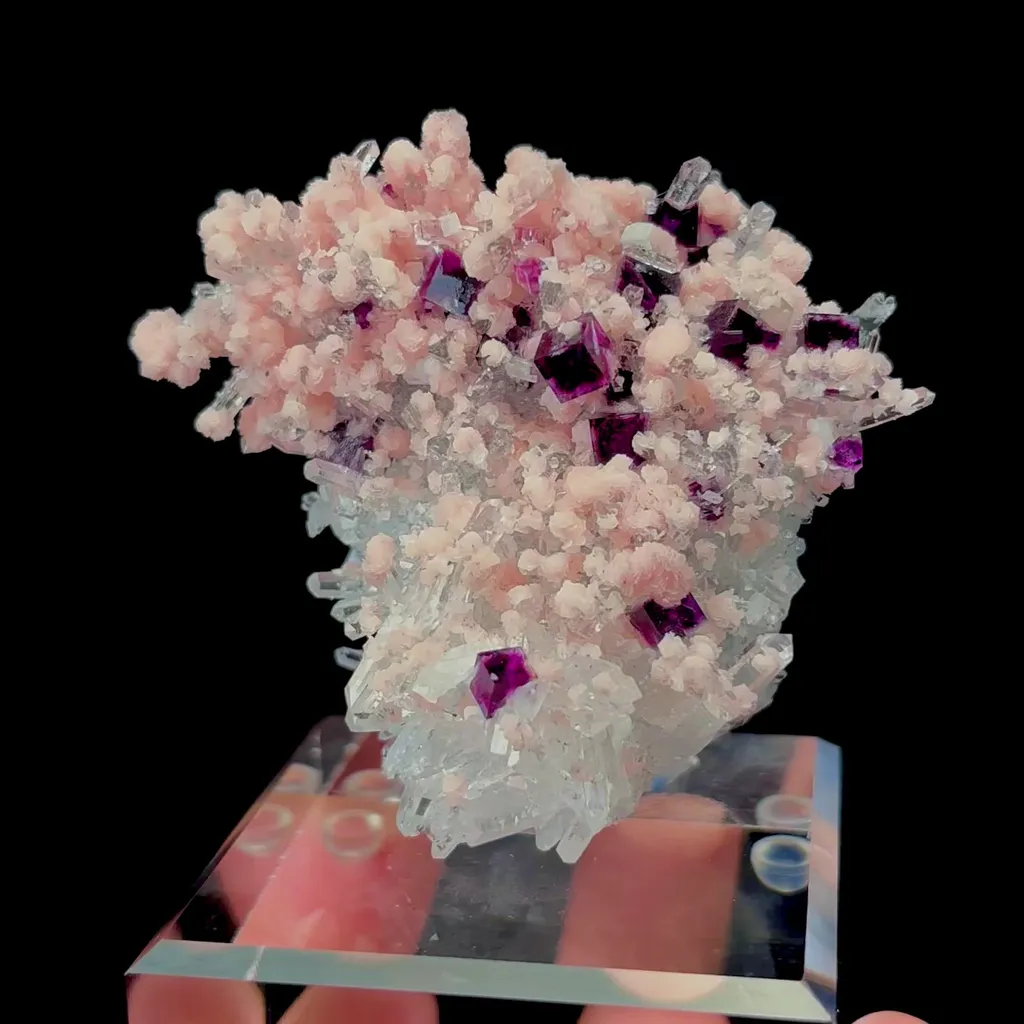 specimen video