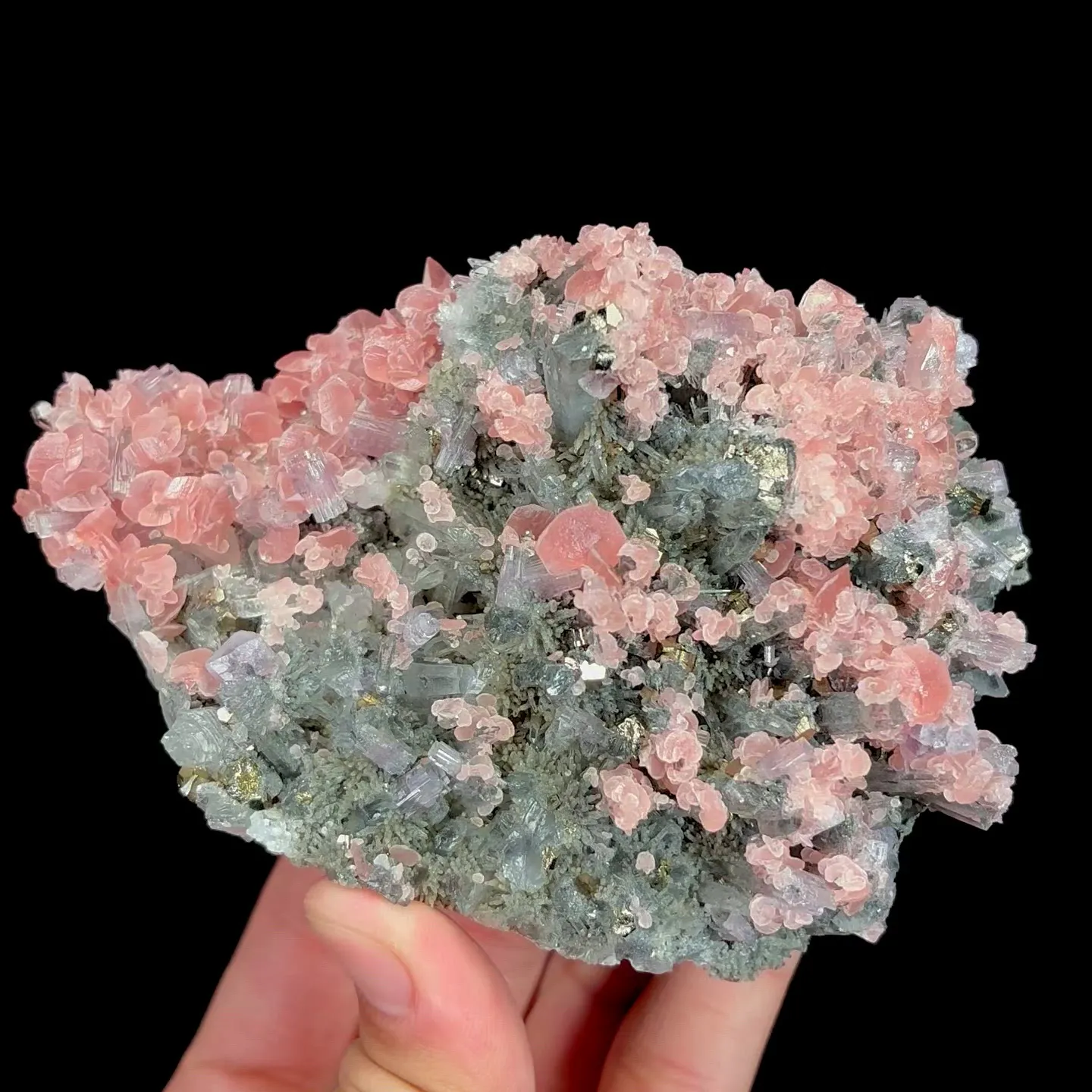 specimen video