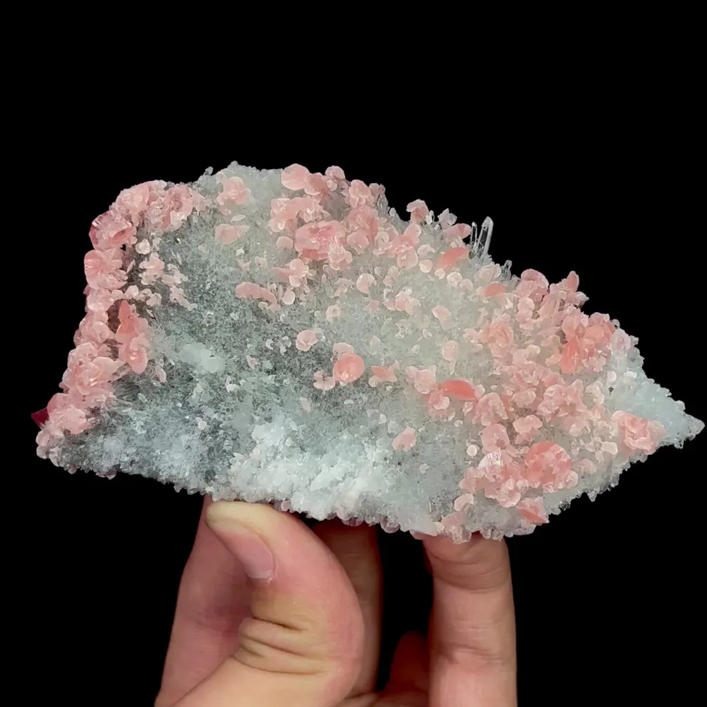 specimen video