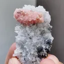 Natural Rhodochrosite and Quartz coexist comes from Guangxi 40*25*12MM - image 1