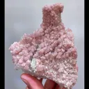 specimen video
