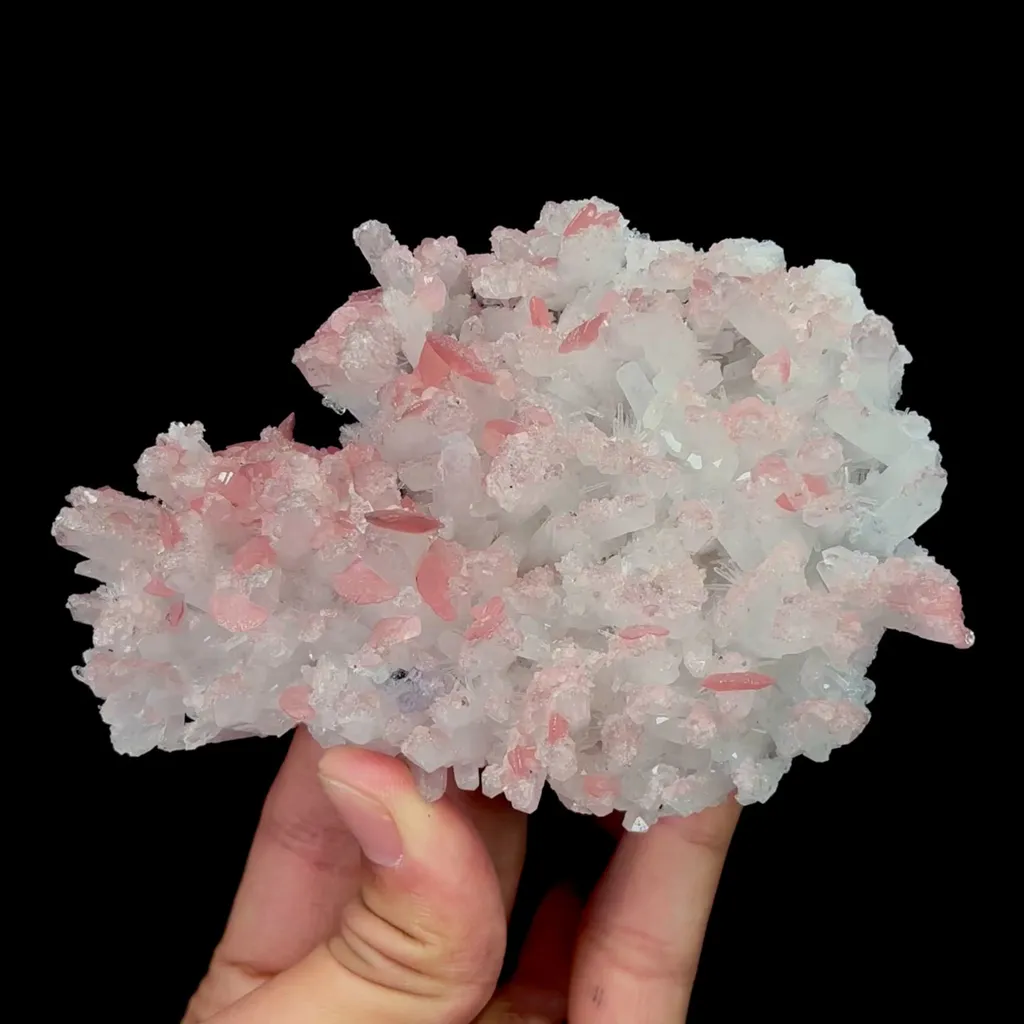 specimen video