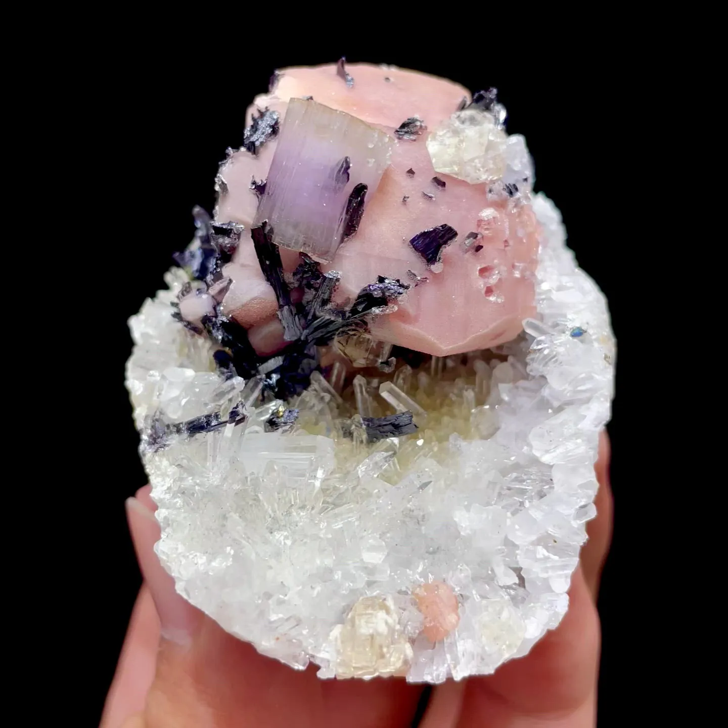 specimen video