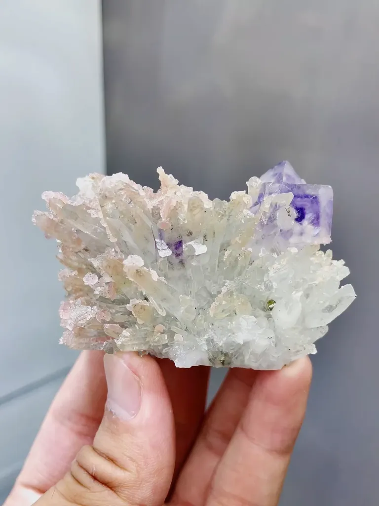 Natural Rhodochrosite coexists with Purple Phantom Fluorite and Crystal Clusters comes from Wuzhou,Guangxi 70*45*40MM image