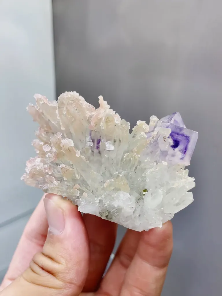 Natural Rhodochrosite coexists with Purple Phantom Fluorite and Crystal Clusters comes from Wuzhou,Guangxi 70*45*40MM - image 2