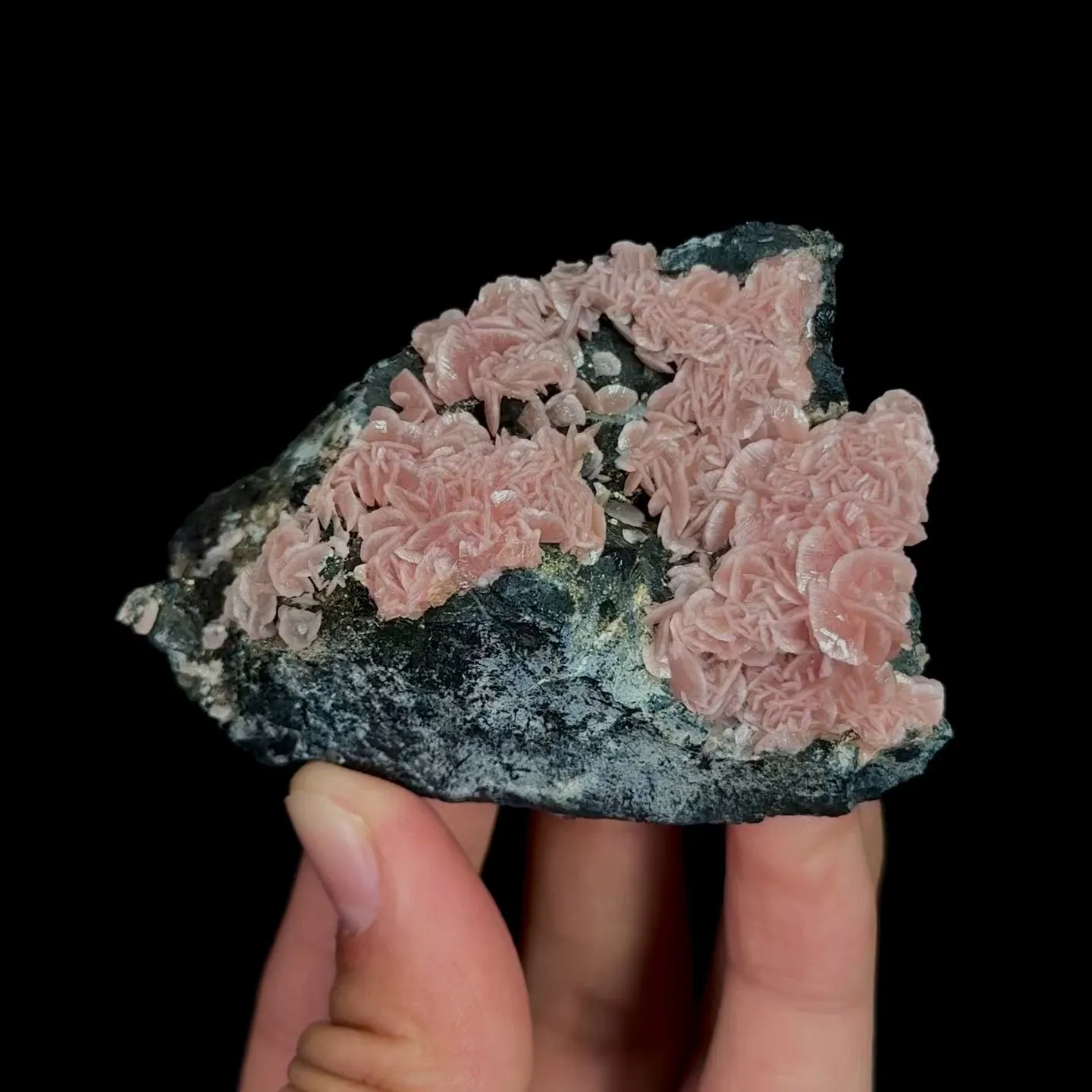 specimen video