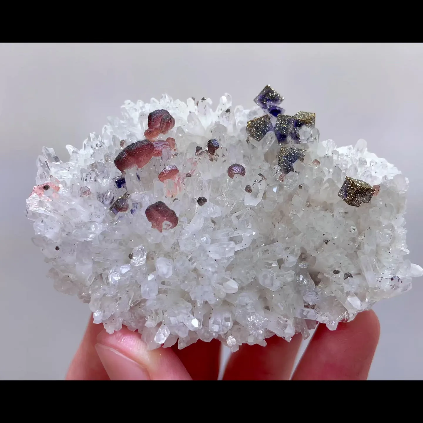 specimen video