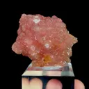 specimen video