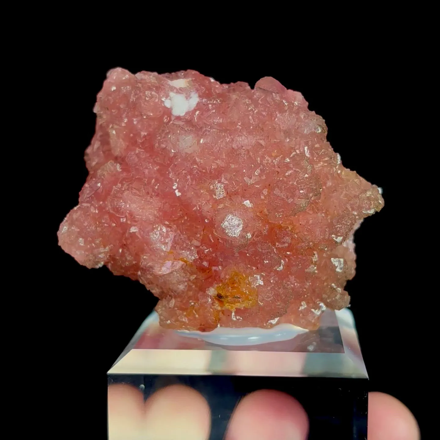 specimen video
