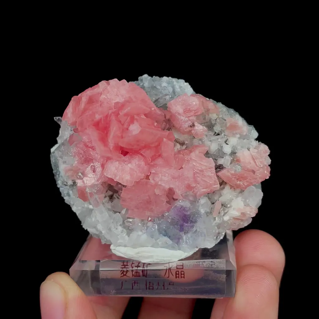 specimen video