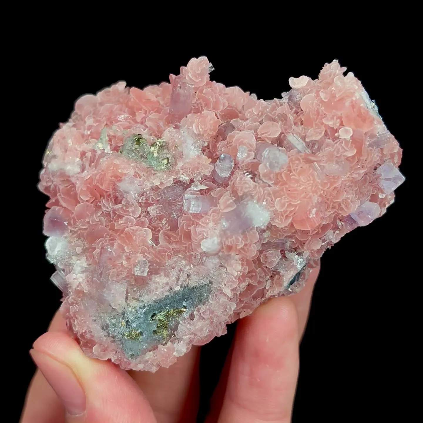 specimen video