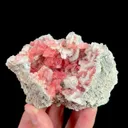specimen video