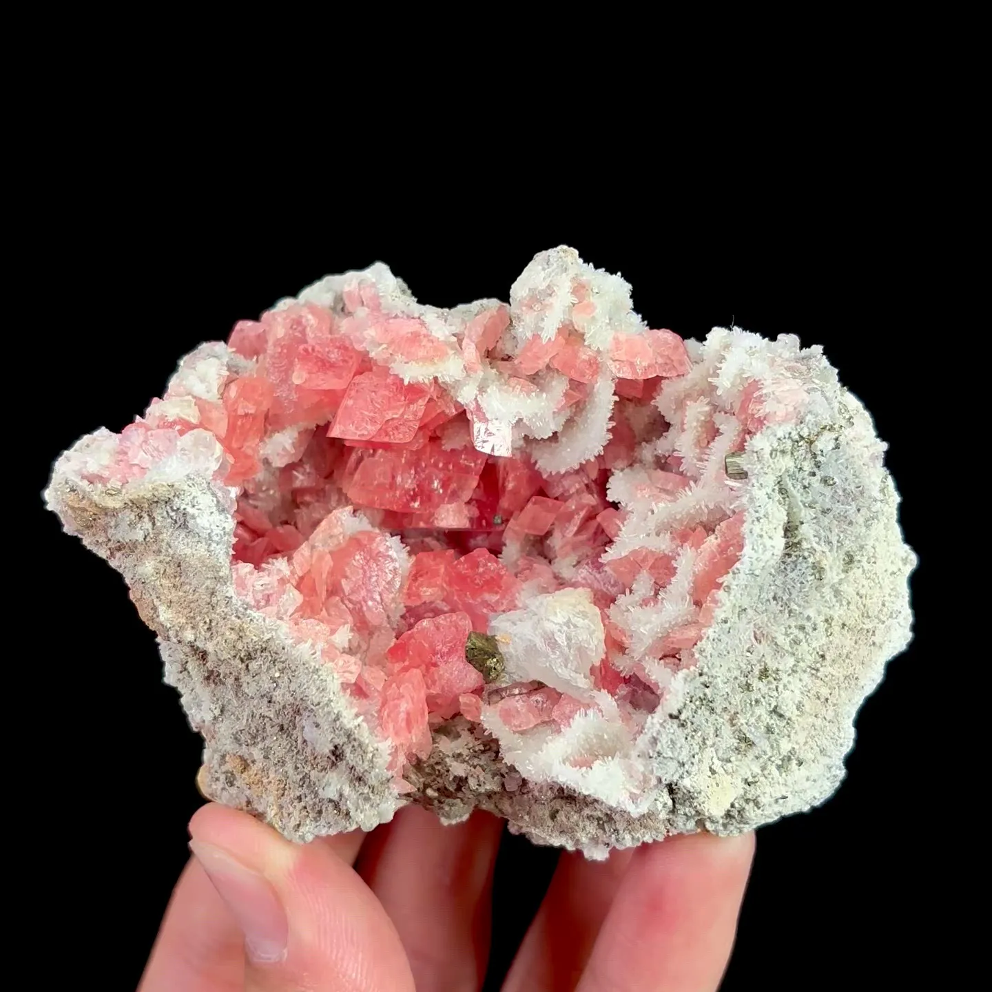 specimen video