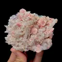 Natural Rhodochrosite Mineral Specimen,High Quality Specimen,WUZHOU,GUANGXI,CHINA(104*80*40mm) - image 5