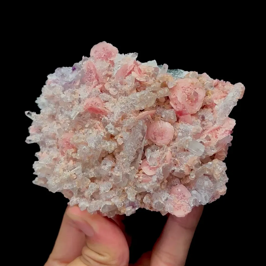 specimen video