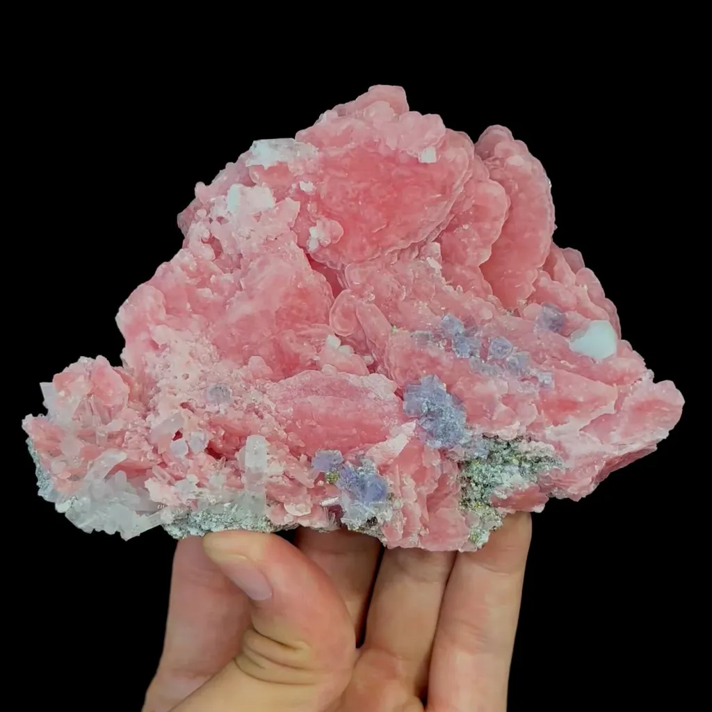 specimen video