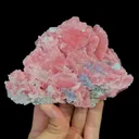 specimen video