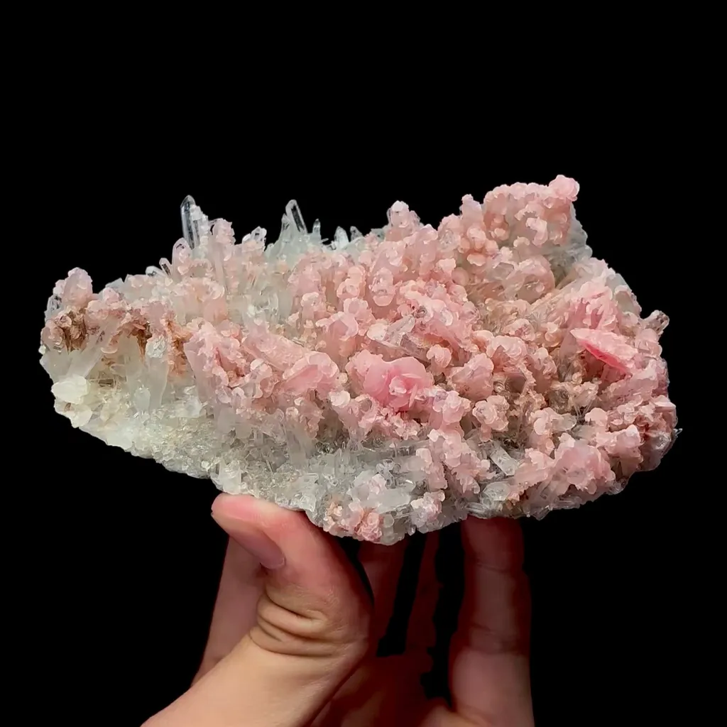 specimen video