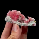 Natural Rhodochrosite Mineral Specimen,High Quality Specimen,WUZHOU,GUANGXI,CHINA(65*26*30mm) - image 4