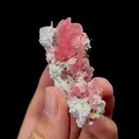 Natural Rhodochrosite Mineral Specimen,High Quality Specimen,WUZHOU,GUANGXI,CHINA(65*26*30mm) - image 3