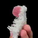 Natural Rhodochrosite Mineral Specimen,High Quality Specimen,WUZHOU,GUANGXI,CHINA(68*26*33mm) - image 3