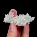 Natural Rhodochrosite Mineral Specimen,High Quality Specimen,WUZHOU,GUANGXI,CHINA(68*26*33mm) - image 1