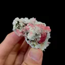 Natural Rhodochrosite Mineral Specimen,High Quality Specimen,WUZHOU,GUANGXI,CHINA(75*35*30mm) - image 6