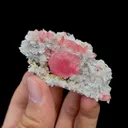Natural Rhodochrosite Mineral Specimen,High Quality Specimen,WUZHOU,GUANGXI,CHINA(75*35*30mm) - image 2