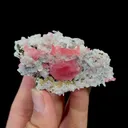 Natural Rhodochrosite Mineral Specimen,High Quality Specimen,WUZHOU,GUANGXI,CHINA(75*35*30mm) - image 4