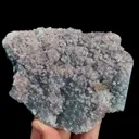 specimen video