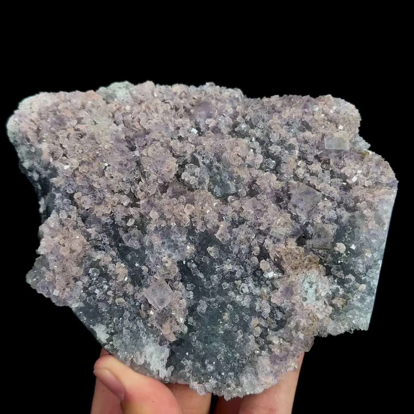 specimen video