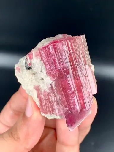 specimen video