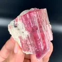 specimen video
