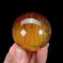 specimen video