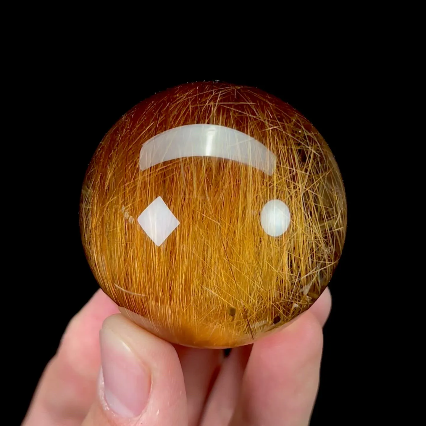 specimen video