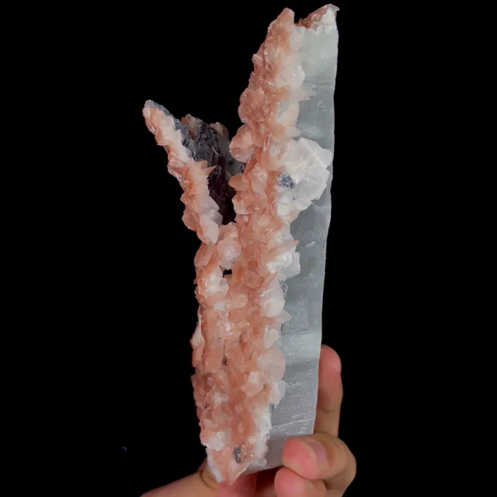 Natural Sakura Calcite and Quartz, Mineral Specimen: Inner Mongolia,China (65*155*55MM) - image 4