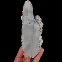 specimen video