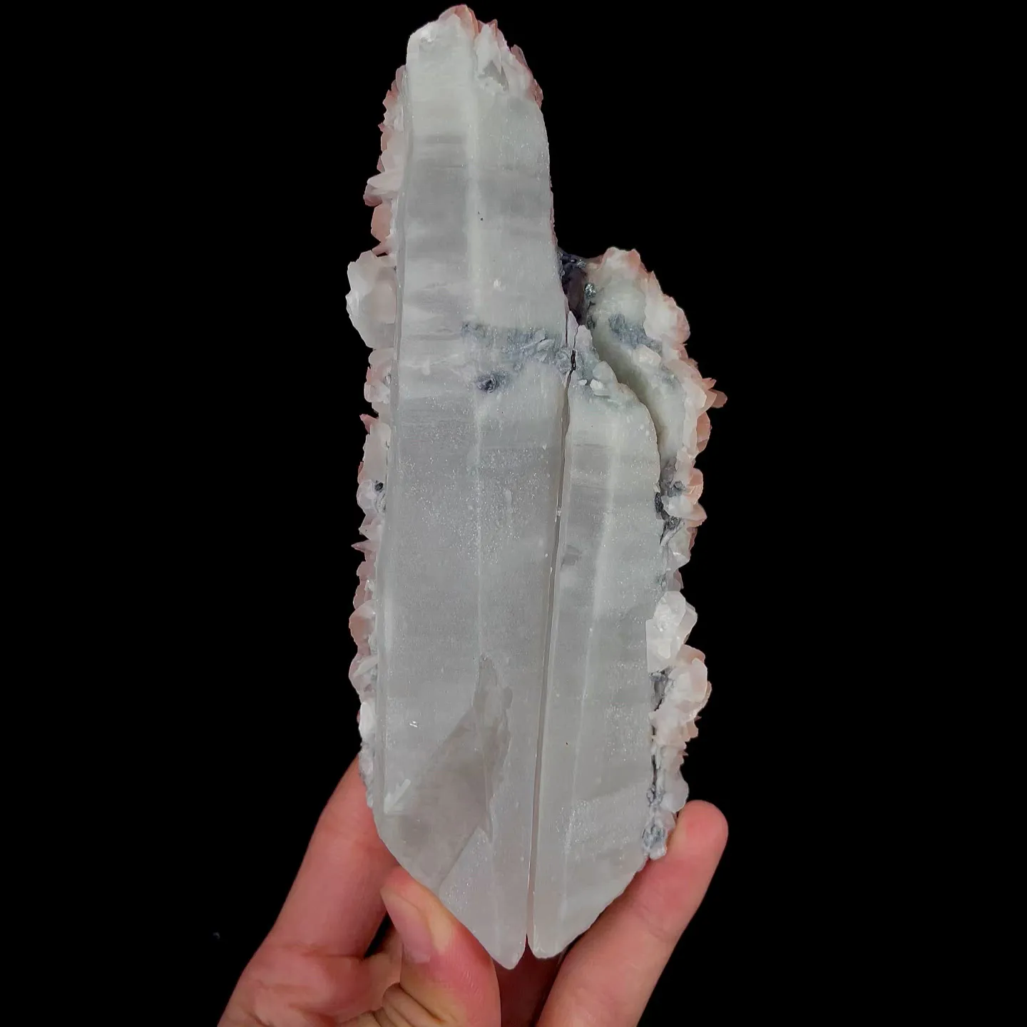 specimen video