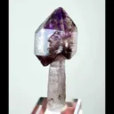 specimen video