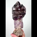specimen video