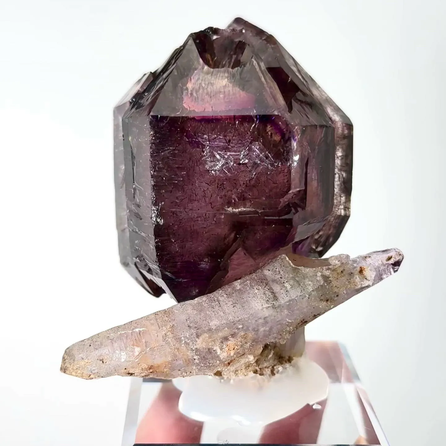 specimen video