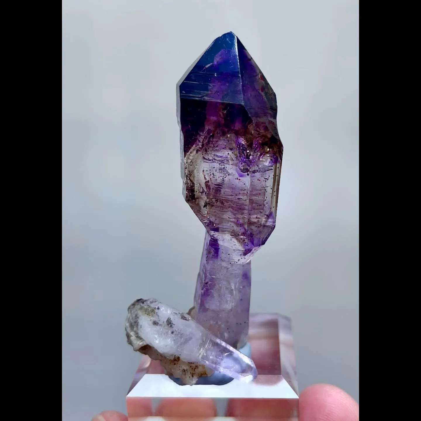 specimen video