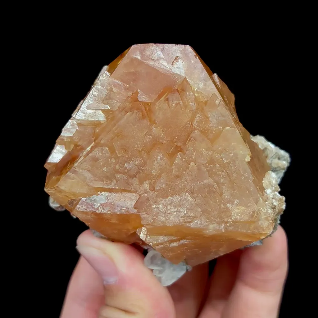 specimen video