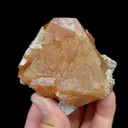 specimen video