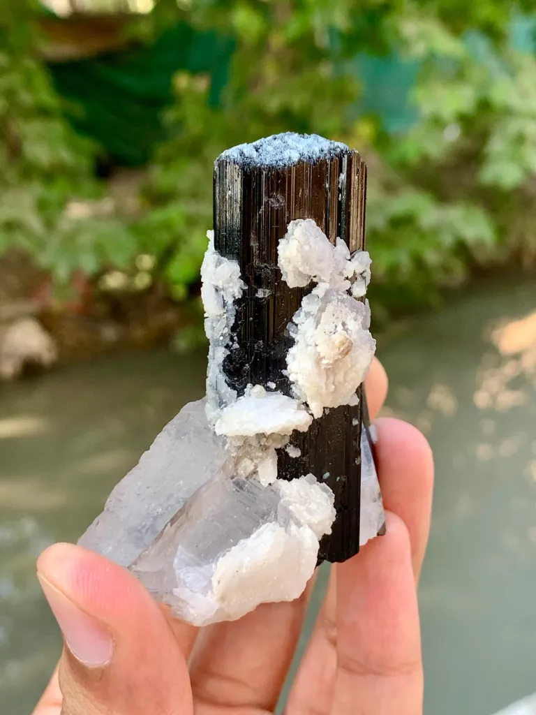 Natural Schorl Black Tourmaline Crystals with Apatite and Quartz from Pakistan - image 4