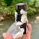 Natural Schorl Black Tourmaline Crystals with Apatite and Quartz from Pakistan - image 4