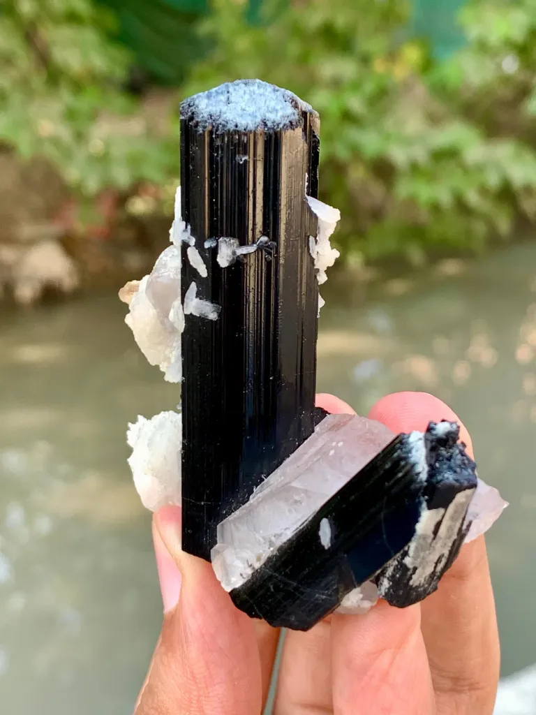Natural Schorl Black Tourmaline Crystals with Apatite and Quartz from Pakistan - image 3