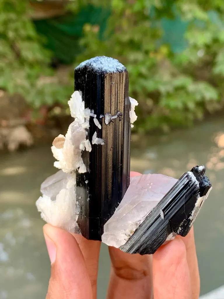 Natural Schorl Black Tourmaline Crystals with Apatite and Quartz from Pakistan - image 6