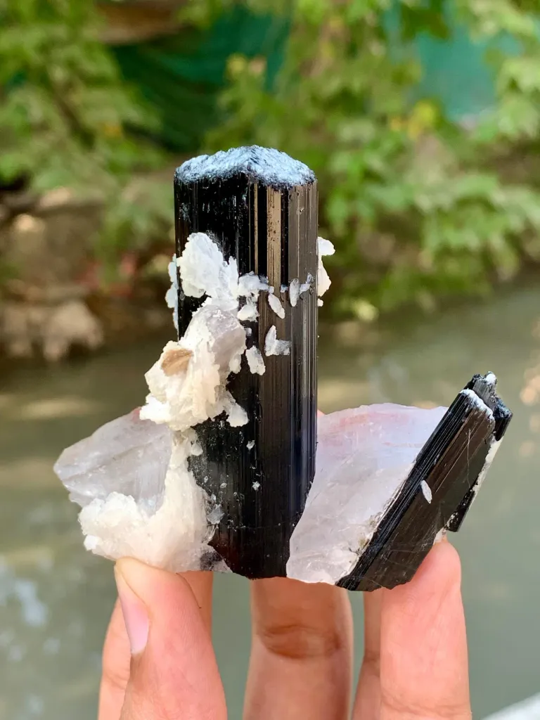Natural Schorl Black Tourmaline Crystals with Apatite and Quartz from Pakistan - image 8