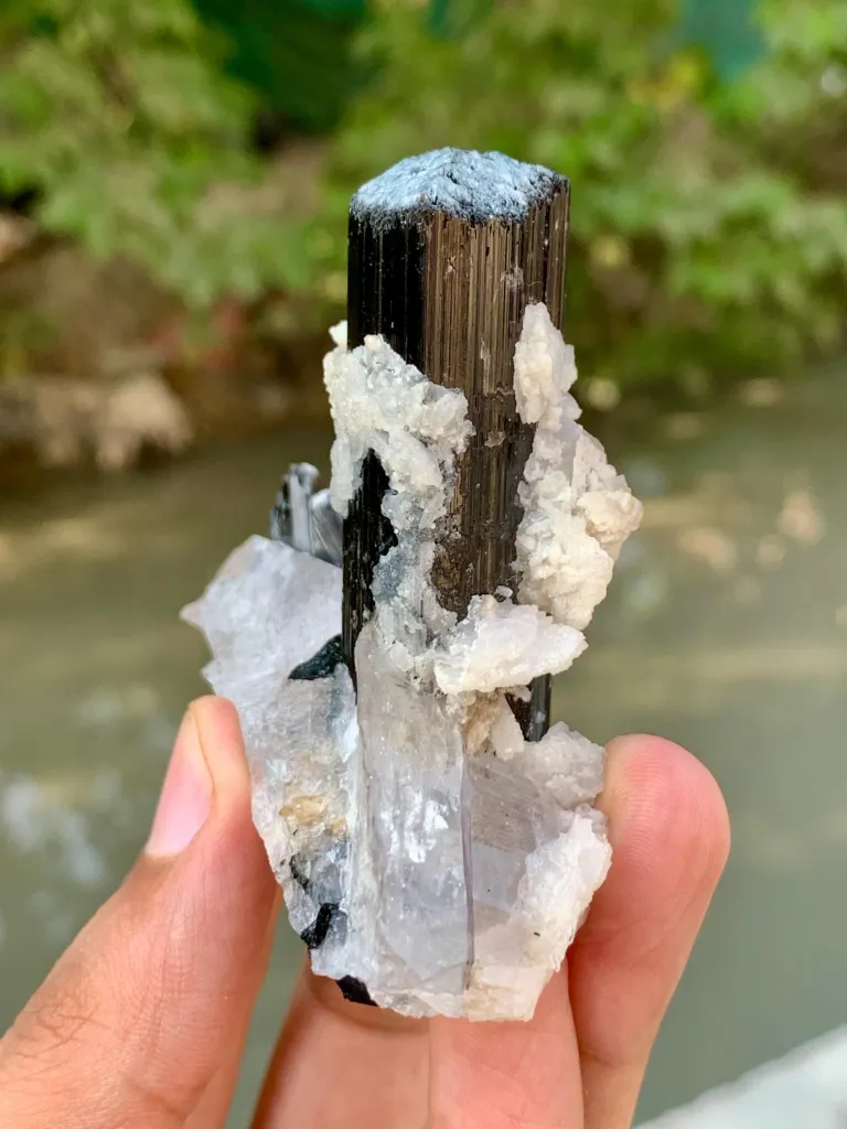Natural Schorl Black Tourmaline Crystals with Apatite and Quartz from Pakistan - image 5